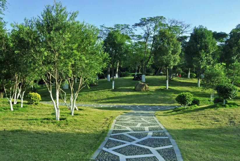 園林工程施工全過程，你如何來進(jìn)行