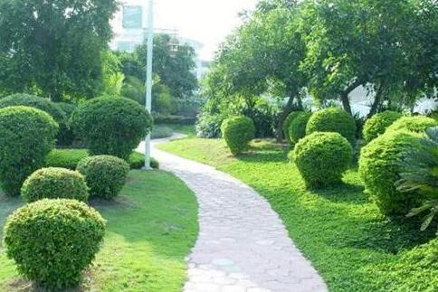 如何控制園林綠化養(yǎng)護(hù)費(fèi)用？