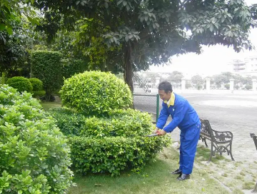 綠化養(yǎng)護(hù)如何提高管理水平？