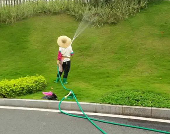 春季園林綠化養(yǎng)護要點