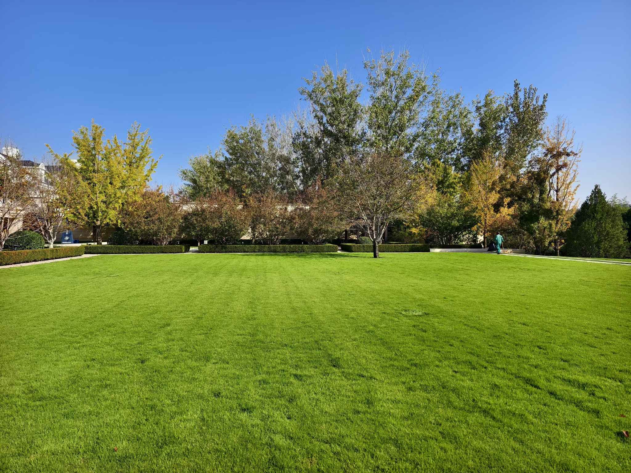 天宏園林入駐石榴滄州綠化項目，共筑城市美好未來