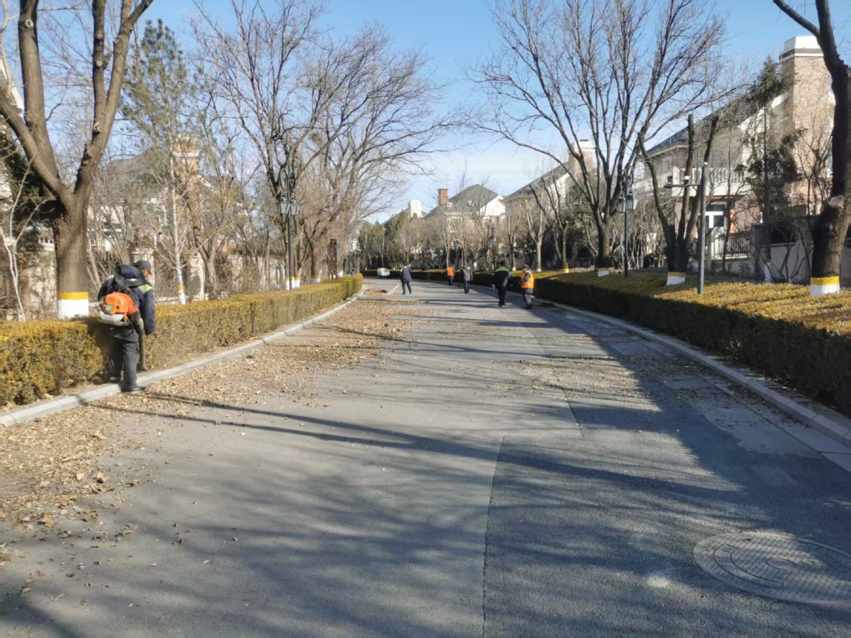 北京春季園林綠化養(yǎng)護指南之春季清園