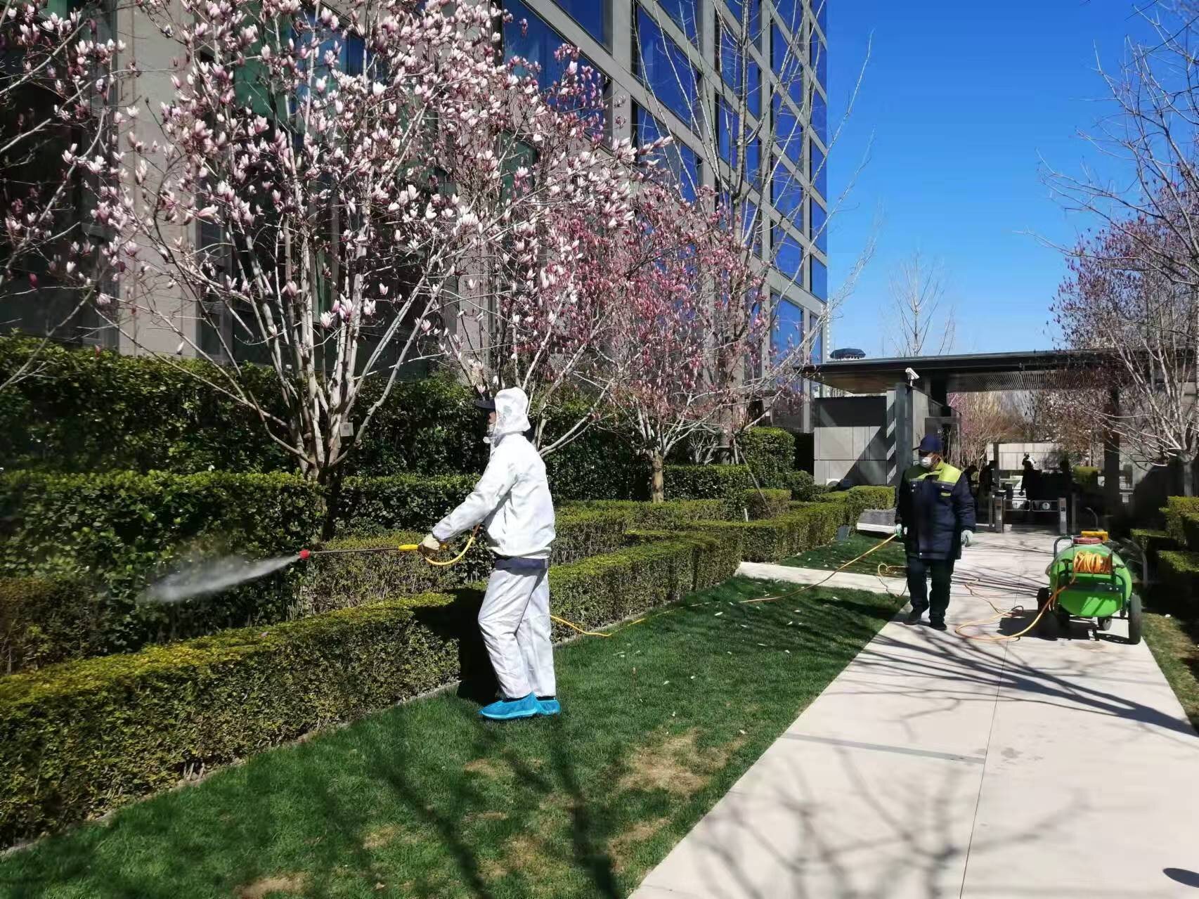 北京春季園林綠化養(yǎng)護之要點