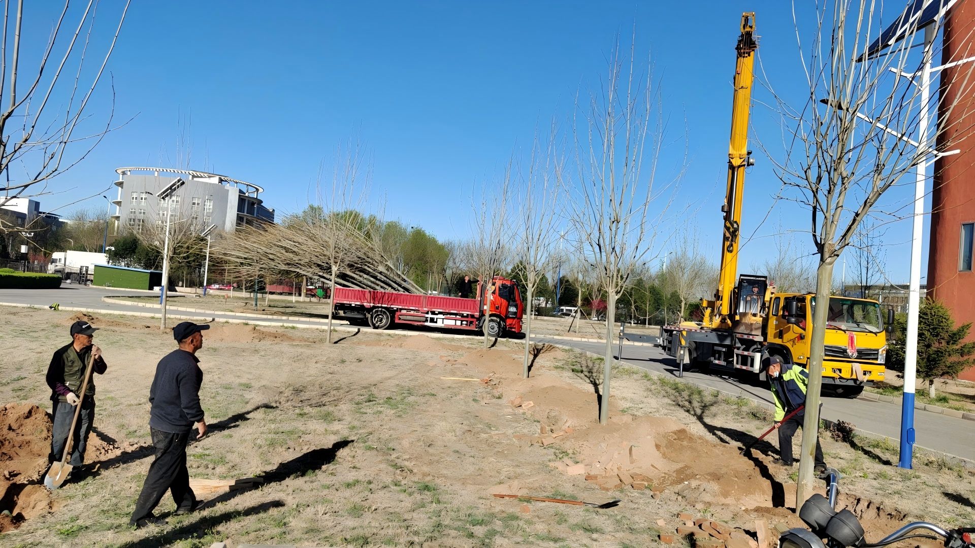 在北京進行春季種樹，最佳時間是什么時候