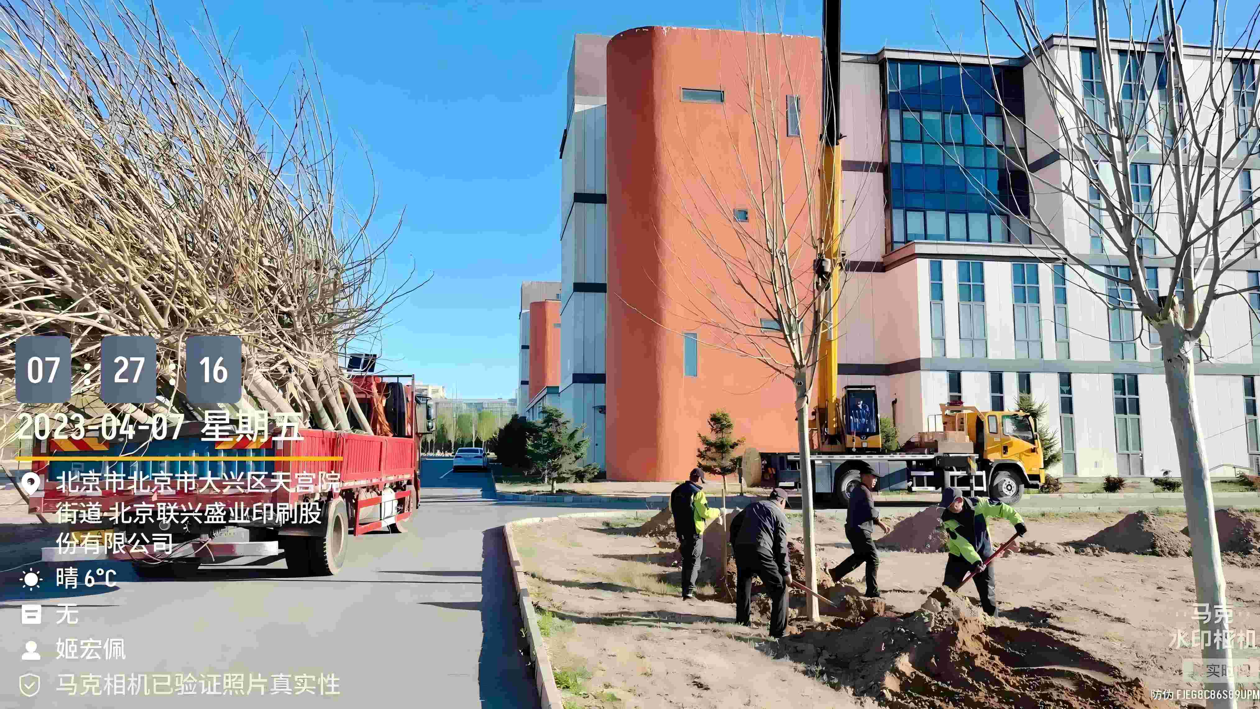 北京春季植樹最好的時間是什么時候？